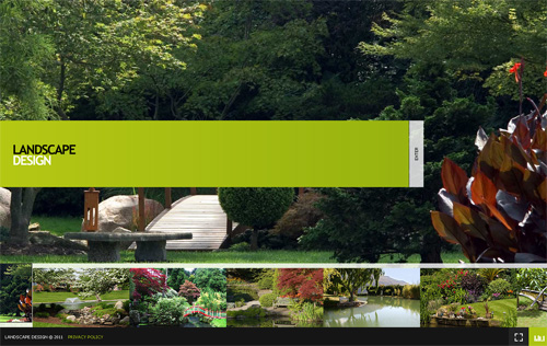 Flash CMS template
