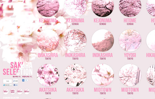 Sweet And Creative Pink Websites