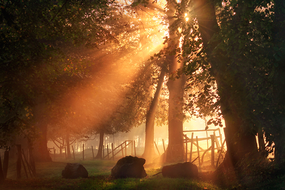 36 Amazing Natural Light Photography