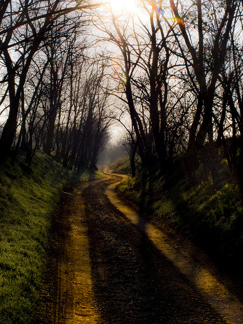 36 Amazing Natural Light Photography