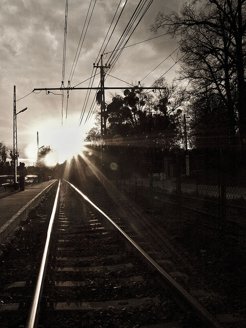 36 Amazing Natural Light Photography
