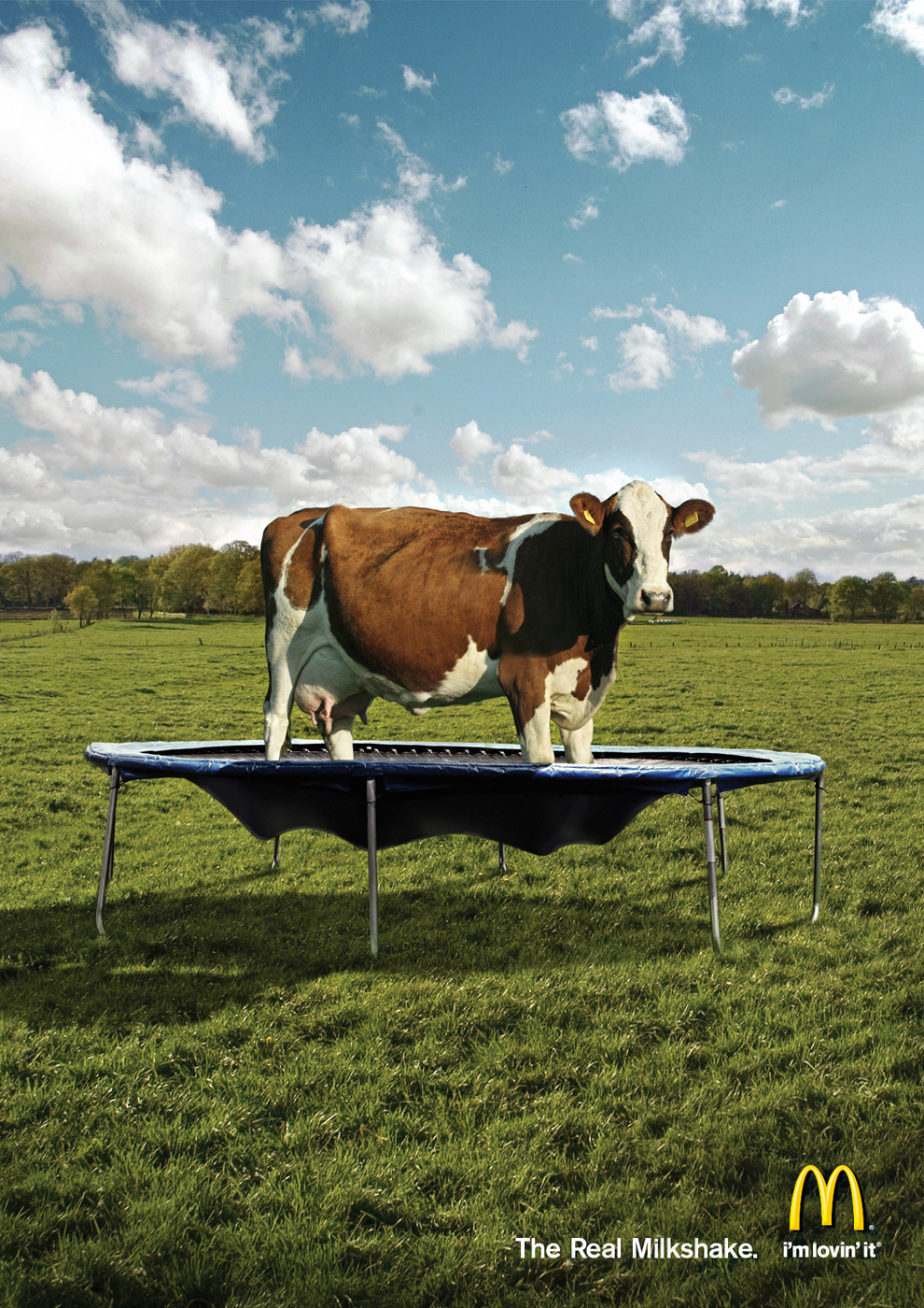 Funny-Print-Ads-43